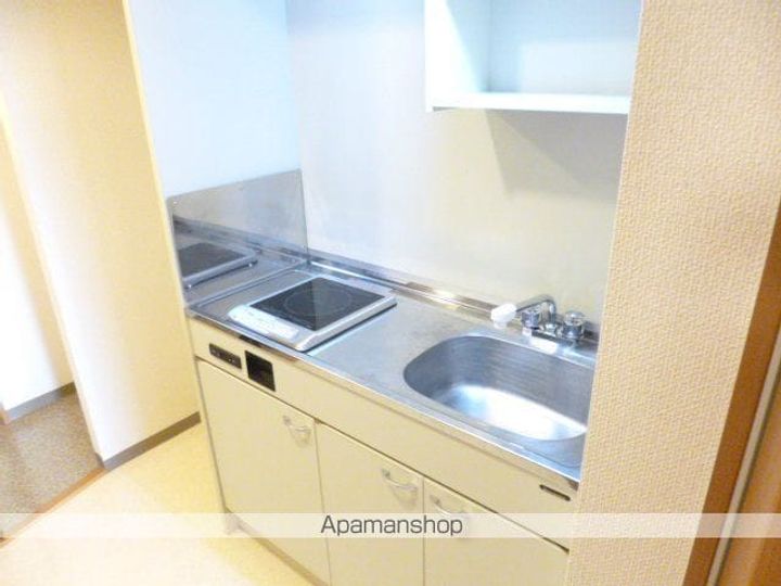 東京都国立市富士見台2丁目の賃貸マンションのキッチン