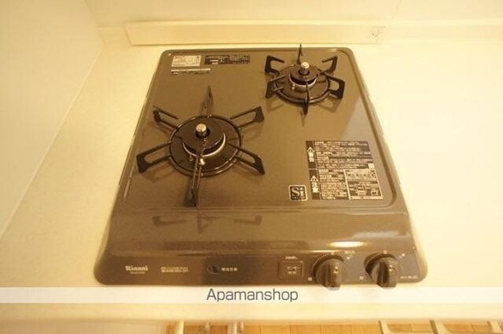 神奈川県川崎市多摩区堰2丁目の賃貸マンションのキッチン