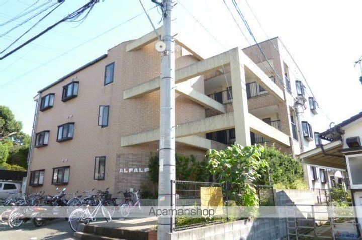 アルファルファAの外観