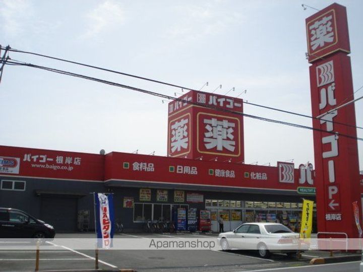 埼玉県狭山市広瀬3丁目の賃貸アパートの周辺