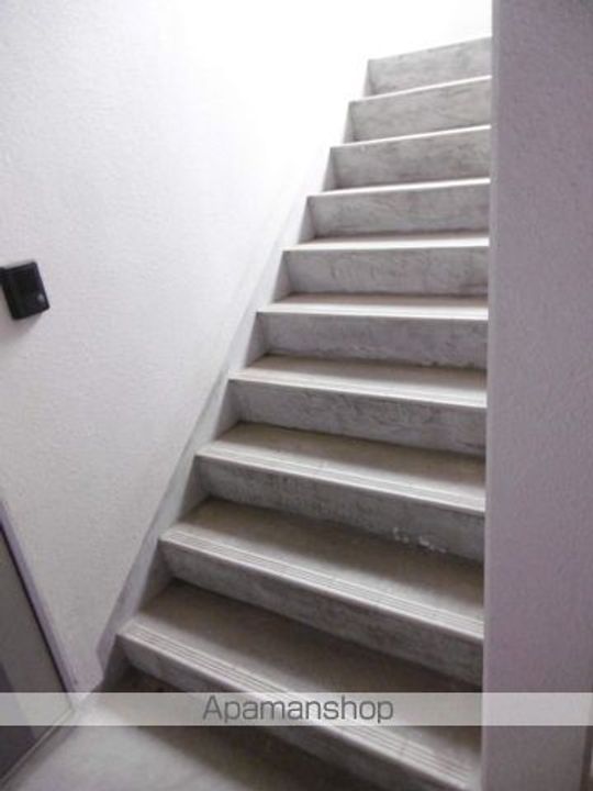 ミントのその他画像