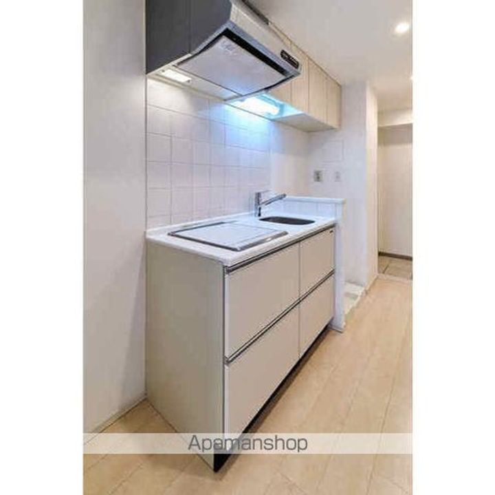 東京都墨田区亀沢3丁目の賃貸マンション301のキッチン