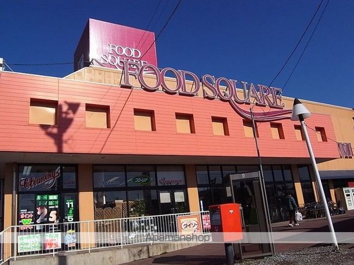 レオネクストアルプスの周辺