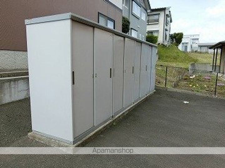 セリーヌBのその他画像