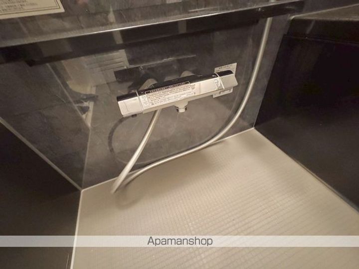 滋賀県東近江市小脇町の賃貸アパートの内装