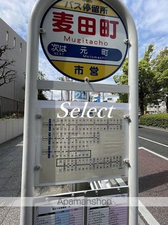 ハーミットクラブハウス山手柏葉IIB棟(仮)の周辺