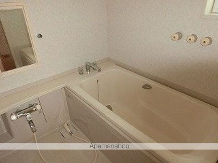 岩手県滝沢市大崎の賃貸アパートの風呂