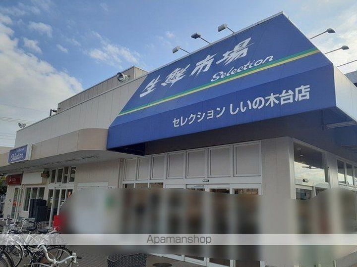 フェアリー・ローズⅢの周辺