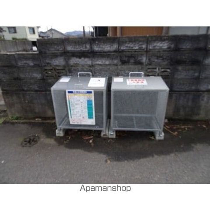オリーブのその他画像