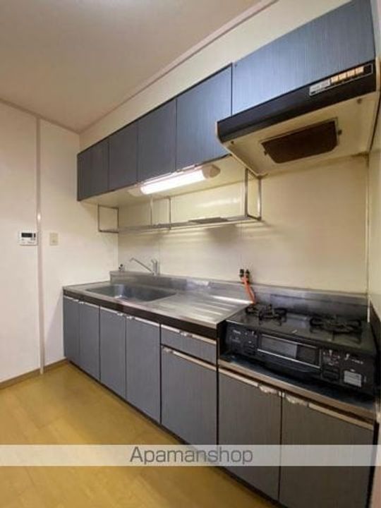 香川県高松市高松町の賃貸マンションのキッチン