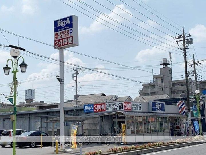 レオパレスリバータウン20の周辺