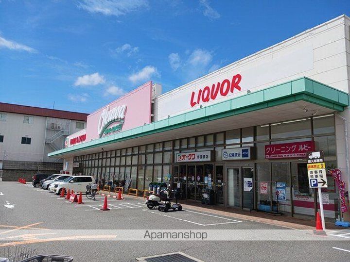 エヌ プラスの周辺