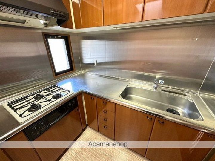 パロマヴィラ寺塚203号室のキッチン