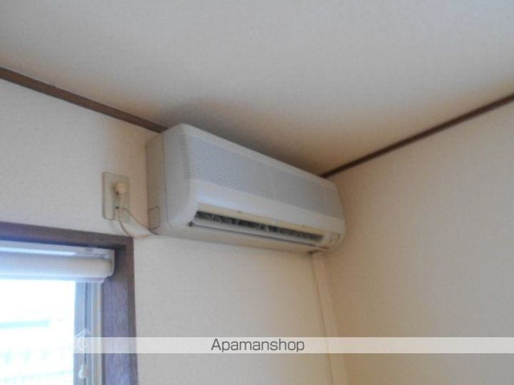 キャロルのその他画像