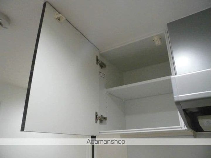 大阪府堺市堺区西永山園の賃貸マンションの内装
