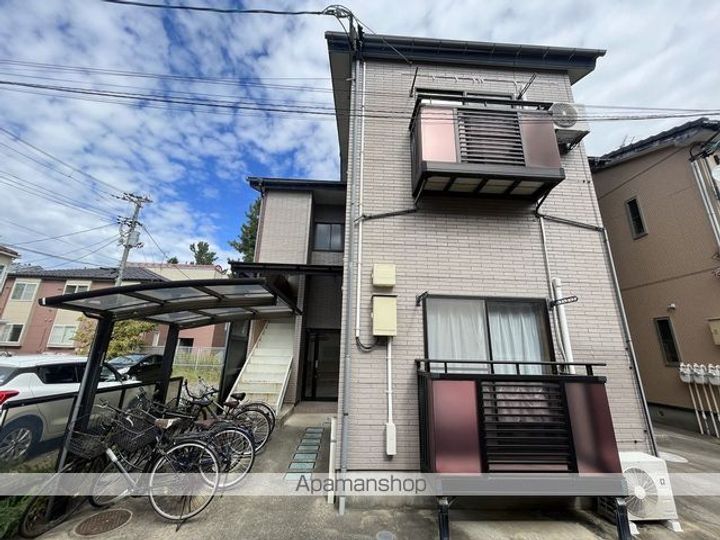 アルファイトの外観