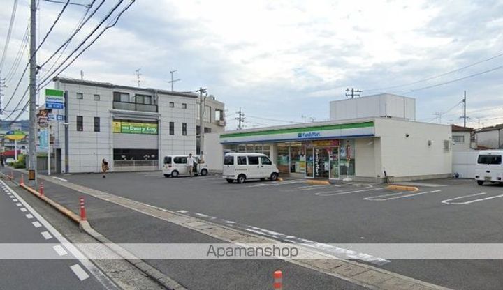 ステラの周辺