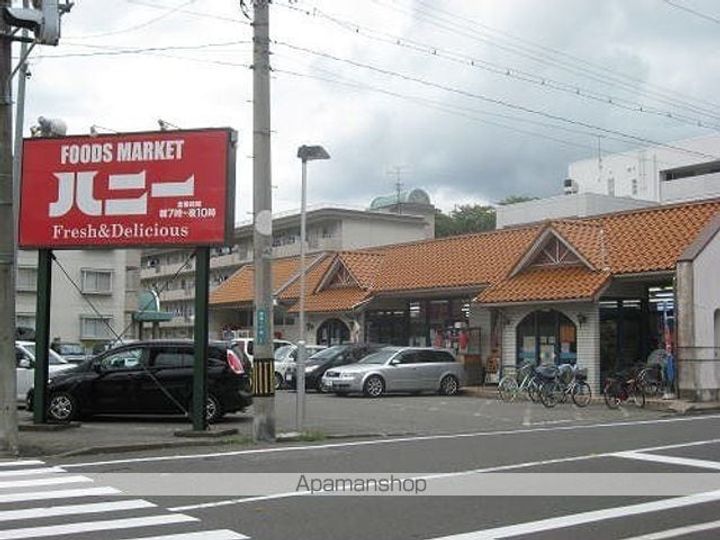 ヴィオラの周辺