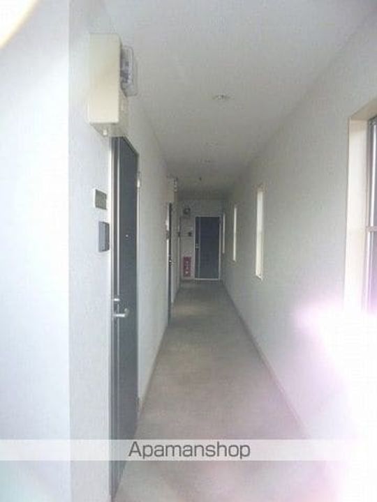 アクシアのその他画像