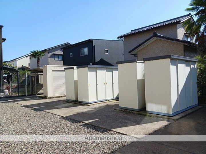 ジェントリーのその他画像