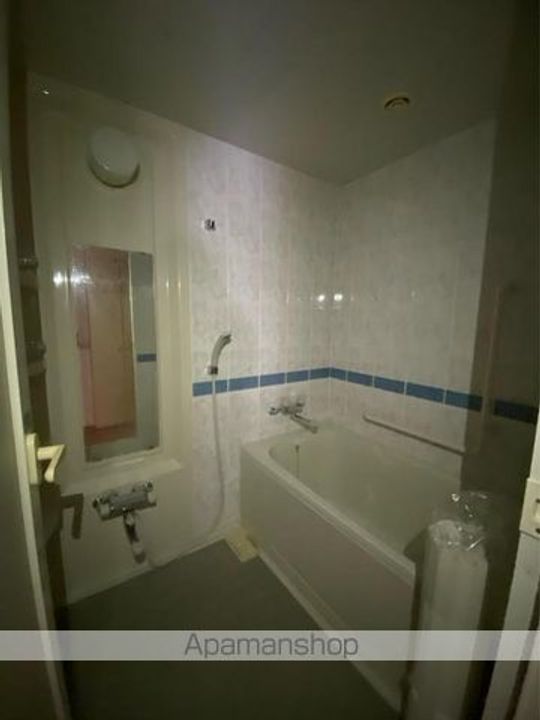 アルファステイツ太田Ⅲ(穴吹HS)の風呂