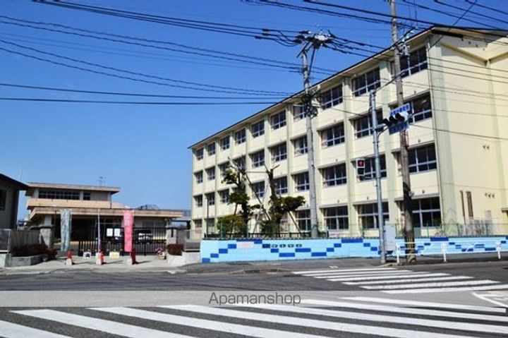 ヴァイオレットの周辺