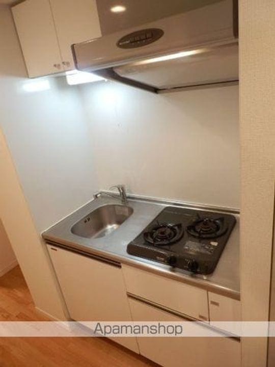 千葉県千葉市中央区新宿1丁目の賃貸マンションのキッチン