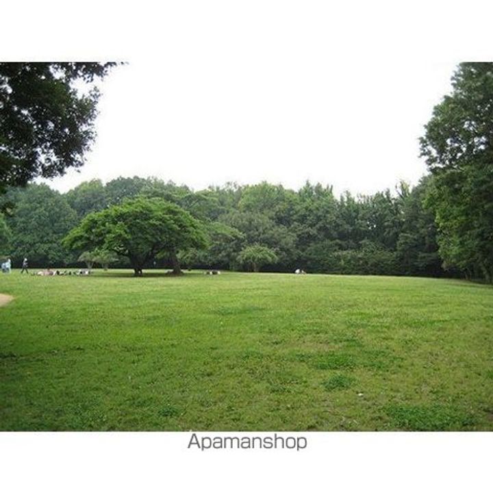 リーセントパレス神木本町の周辺