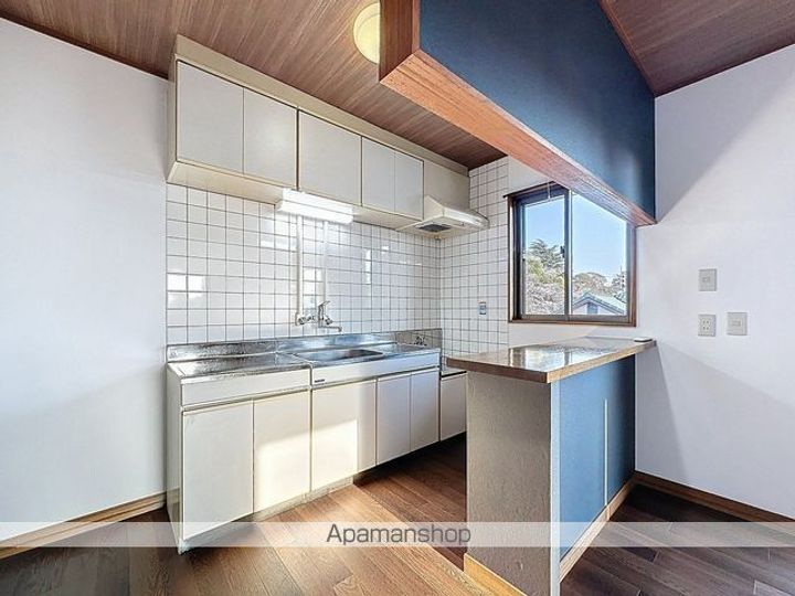 愛知県半田市雁宿町3丁目の賃貸マンション202のキッチン