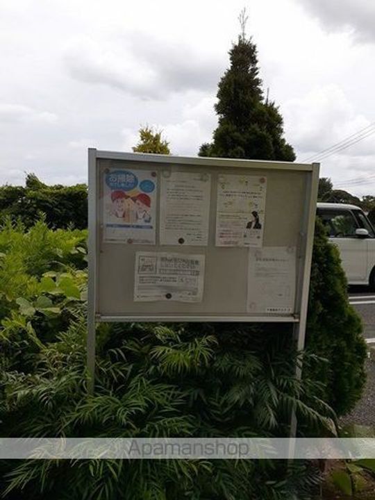 クラスターヒルのその他画像