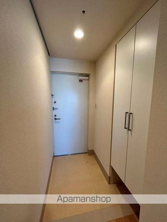 東京都台東区元浅草1丁目の賃貸マンションの玄関