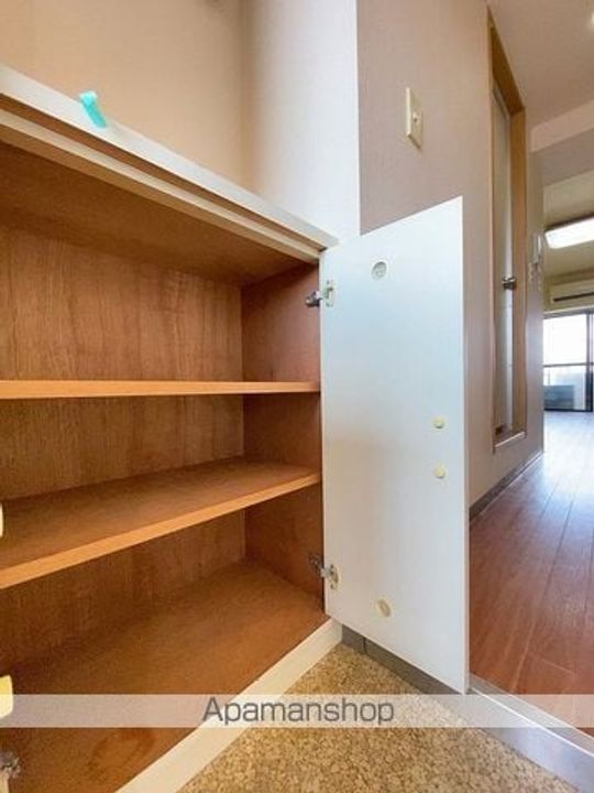 埼玉県三郷市三郷1丁目の賃貸マンションの内装