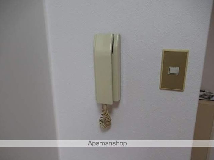 大阪府大阪市住吉区墨江4丁目の賃貸マンションの内装