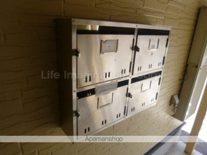 アルシオネセタのその他画像
