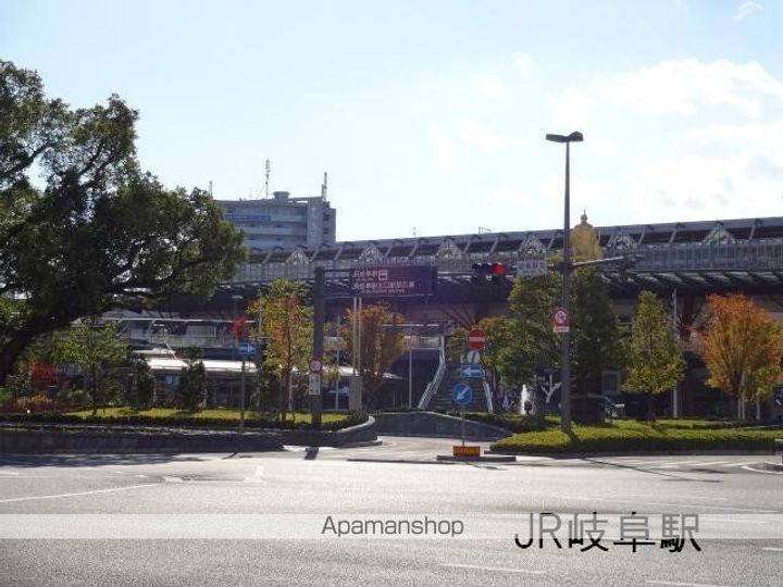 岐阜県岐阜市高野町4丁目の賃貸アパートの周辺