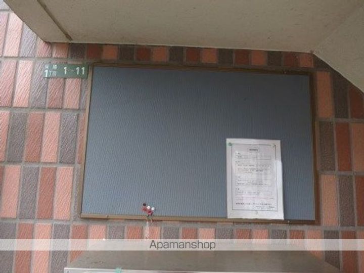 ニュー・ジニアス向陽のその他画像