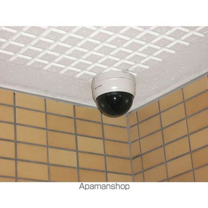 岩井橋ロイヤルハイツ10Hの内装