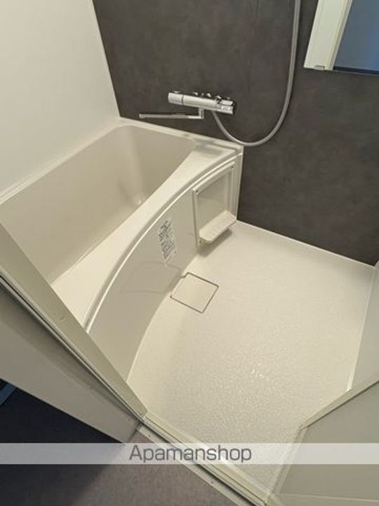 SーRESIDENCE堺浜寺BROAD510の風呂