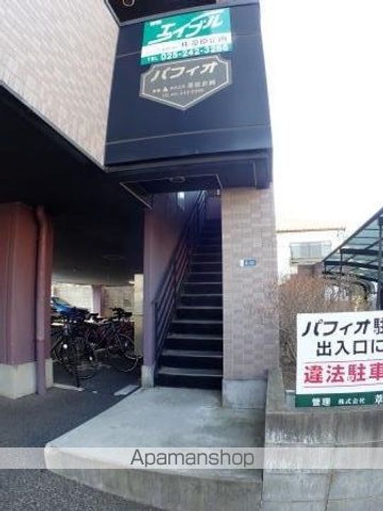 パフィオのその他画像