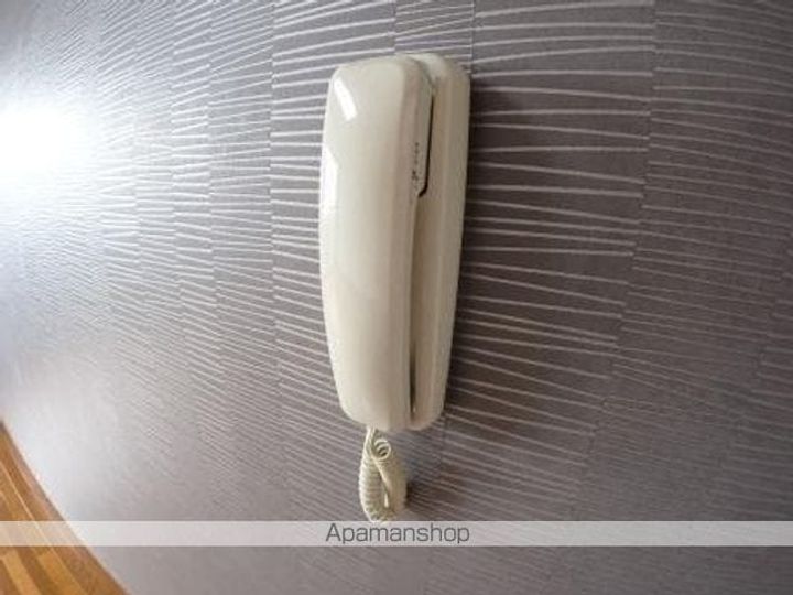 パフィオのその他画像