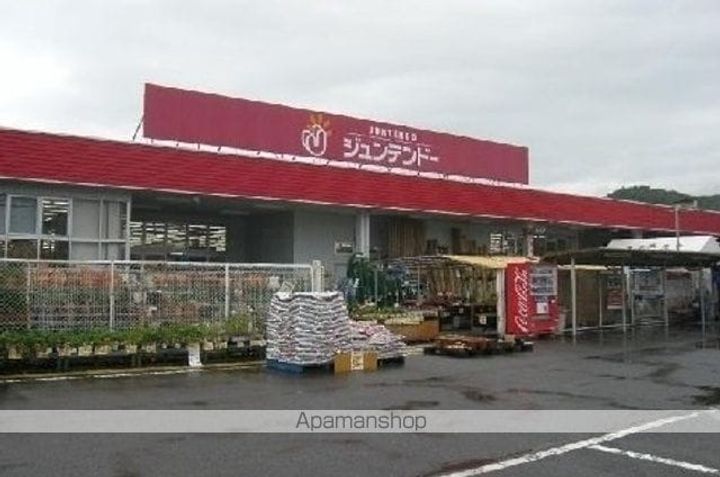 サクラの周辺