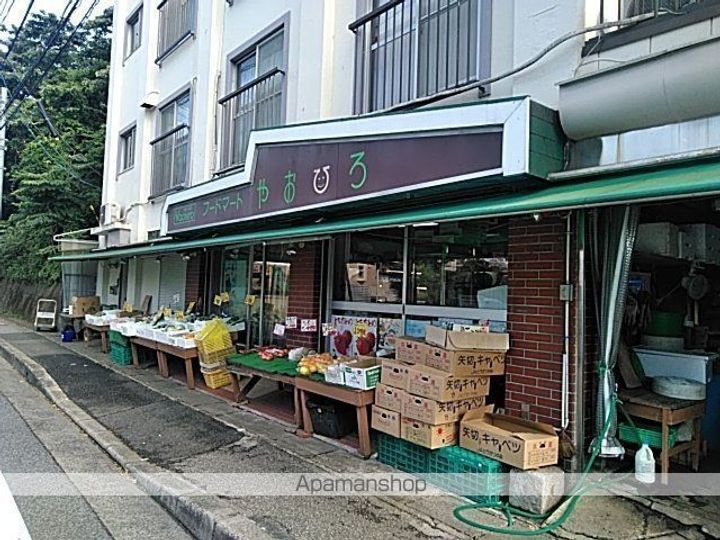 シャディグローブの周辺