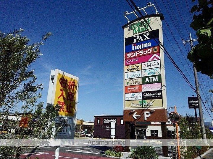 ウッド ウィルの周辺