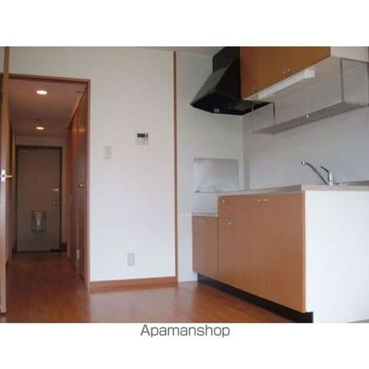 岐阜県美濃加茂市加茂野町今泉の賃貸マンションのキッチン