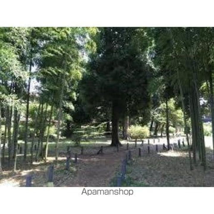 東京都練馬区石神井台7丁目の賃貸マンションの周辺