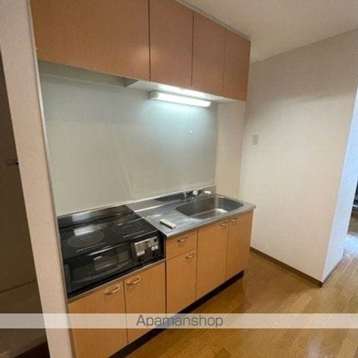 滋賀県草津市野路1丁目の賃貸マンション510のキッチン