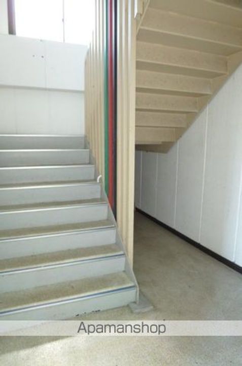 ルピナスのその他画像