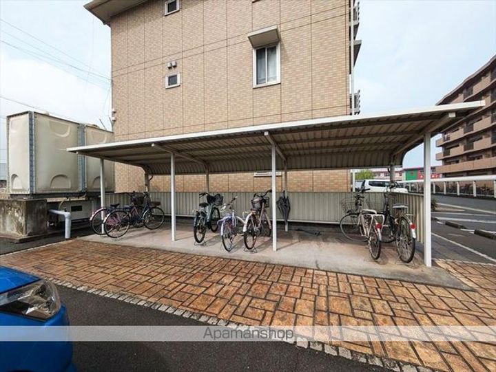 グリーンコスミオンのその他画像