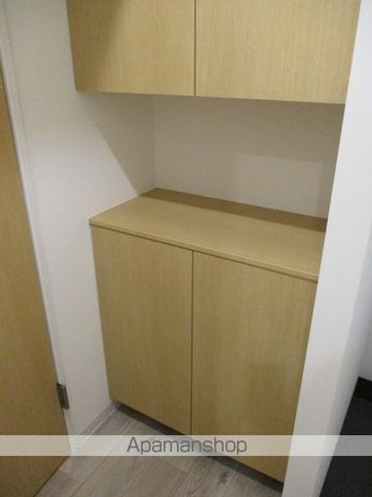 ミリアレジデンス高円寺501の内装