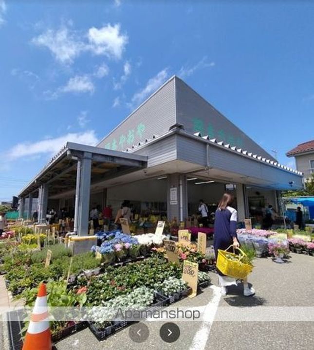 ドリームハウスの周辺